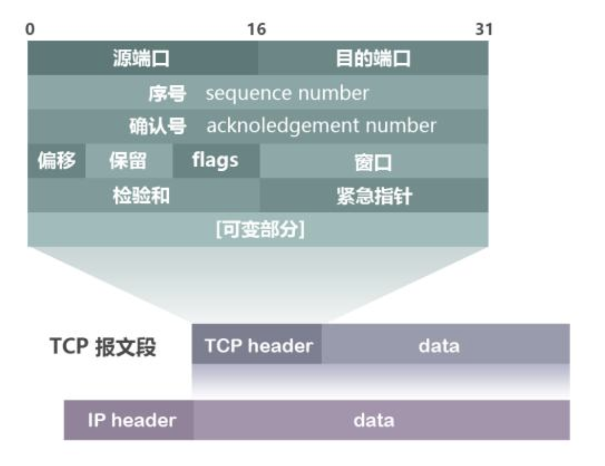 TCP报文简介